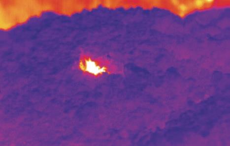 1766112335113741.jpg 应用2.jpg